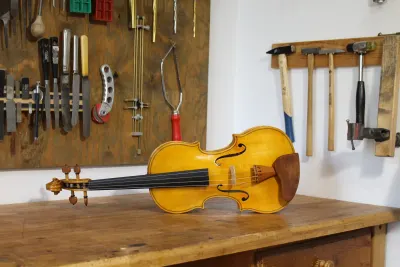 Violine Brandstätter