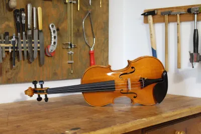 Violine Mayr Bayern